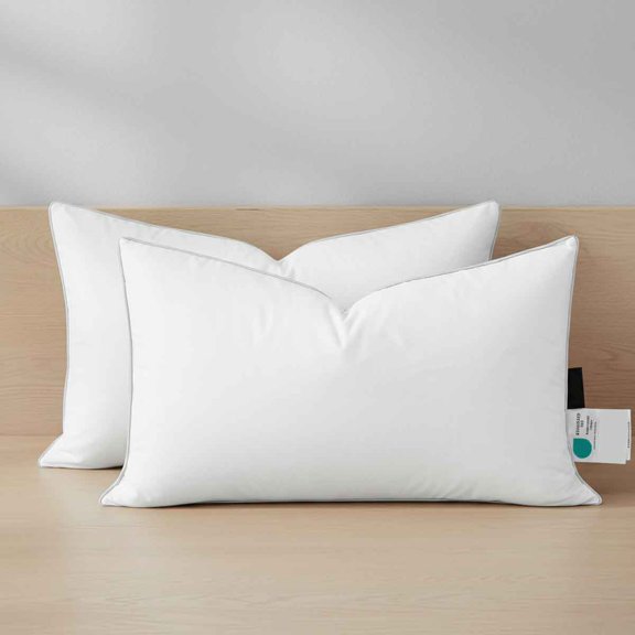 Pillow Insert Set of 2, Down and Feather Throw Pillow Inserts Premium Soft Fluffy with Piping Edge, Down-Proof Square Pillow Insert for Living Room Sofa Couch Bed, White