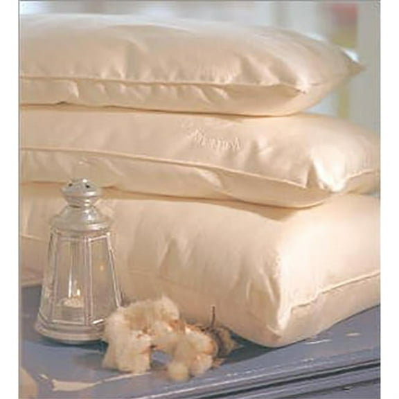 Pillow: Organic Cotton Organic Latex Filled Knit Outer (Only Here) - Boudoir Regular Fill Zip Closure 12.5 x 16 x 3"