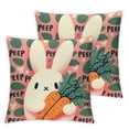 thumbnail image 1 of Pillow Pink Pillow Covers Peep Throw Pillow Covers Black and White Happy Spring Indoor Home Decoration for Sofa Couch Bed, 1 of 7