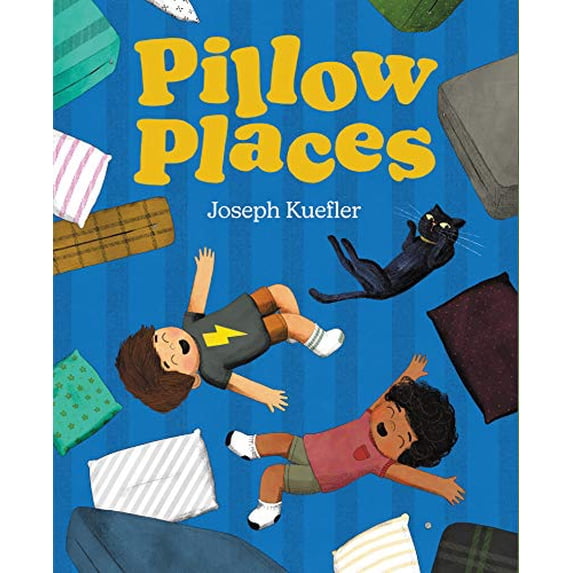Pre-Owned Pillow Places (Hardcover) 0062956736 9780062956736