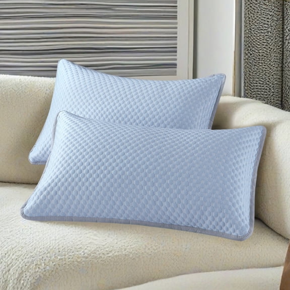 Pillow Protector Waterproof Breathable, QQZ Hotel Quality Pillow Covers for Bed, 2 Pack Polyester Fiber Pillowcase with Full Wrap Encasement for Allergy Protection, Blue