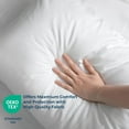 thumbnail image 1 of Pillow Protectors with Zipper Queen Size,2 Pack,Waterproof Pillow Protector Queen Size,Bed Bug Proof Pillow Protector,Waterproof Pillow Covers,20x30 Pillow Covers White Pack 2 Queen [20x30], 1 of 3