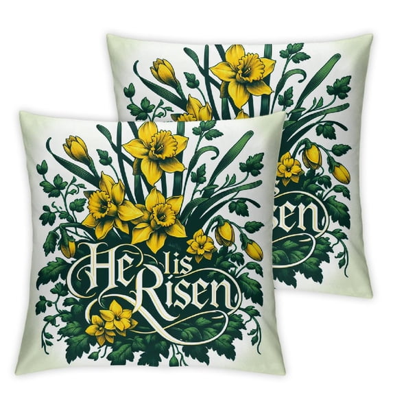 Pillow Set of 2 Decorations Cushion Covers for Sofa Couch Decor