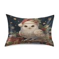 thumbnail image 1 of Pillowcase Satin Pillowcase 40x20in Pillow Case Satin Pillow Case Soft and Smooth Warm Cute Christmas Owl, 1 of 9