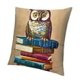thumbnail image 1 of Pillows Decorative Read Books Square Standard for Kids Room Chair, 1 of 5