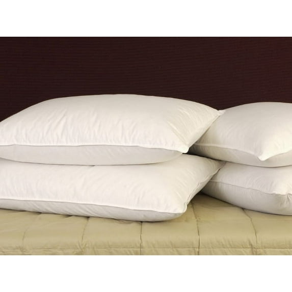 Pillowtex 75% White Duck Feather/ 25% White Duck Down Standard Pillow (2 pack)