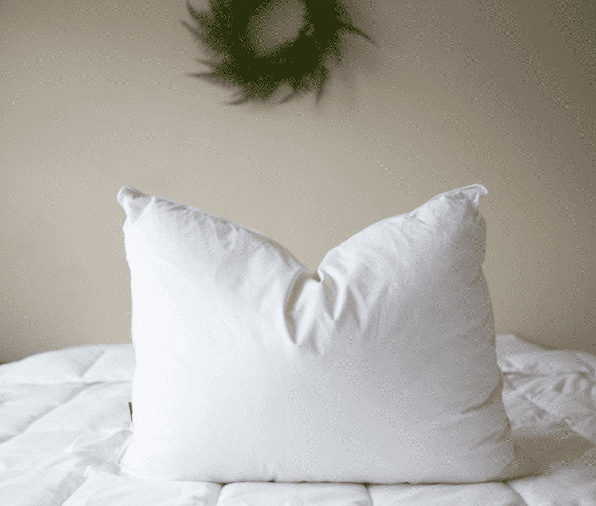 Mackenza 75 Down/25 Feather Pillow by Downright Queen Firm Pillow 20x30, 31oz - White