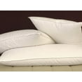 thumbnail image 1 of Pillowtex ® 95% White Duck Feathers 5% White Duck Down King Size Pillow (4 Pillow Set), 1 of 5