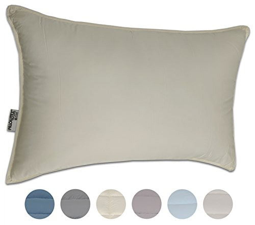 Pillowtex Dream in Color Pillow (King (20 Inches x 36 Inches), Cream)