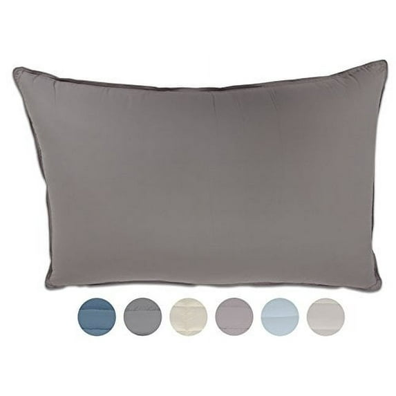 Pillowtex Dream in Color Pillow (Standard (20 Inches x 26 Inches), Heather)