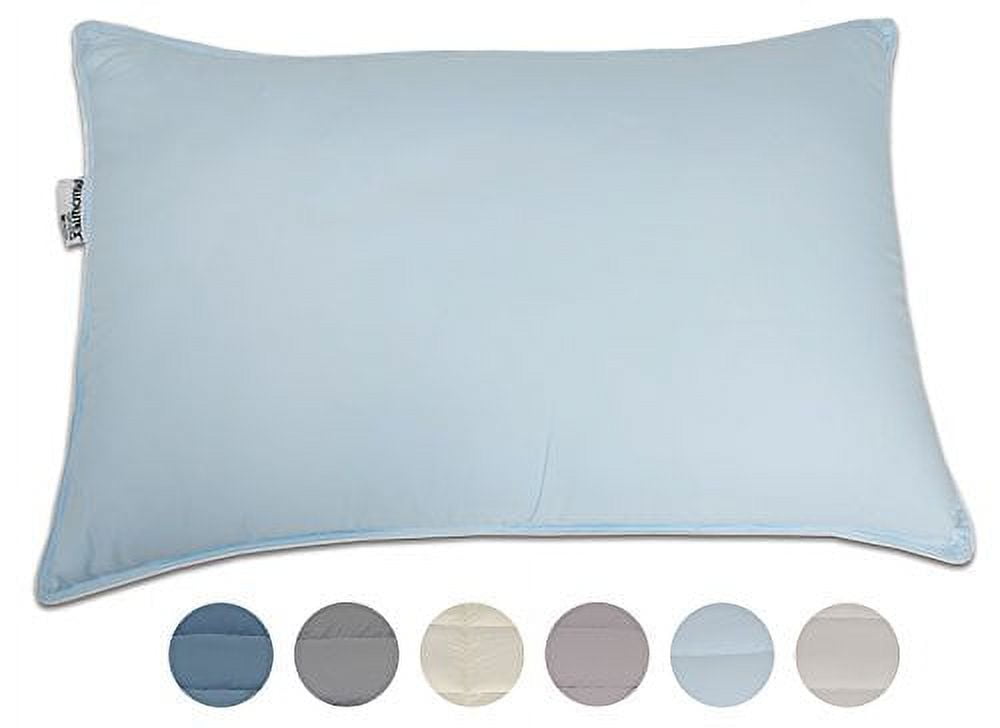 Pillowtex Dream in Color Pillow  (Standard (20 Inches x 26 Inches), Light Blue)