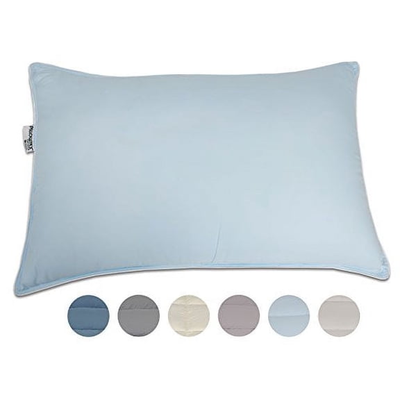 Pillowtex Dream in Color Pillow (Standard (20 Inches x 26 Inches), Light Blue)