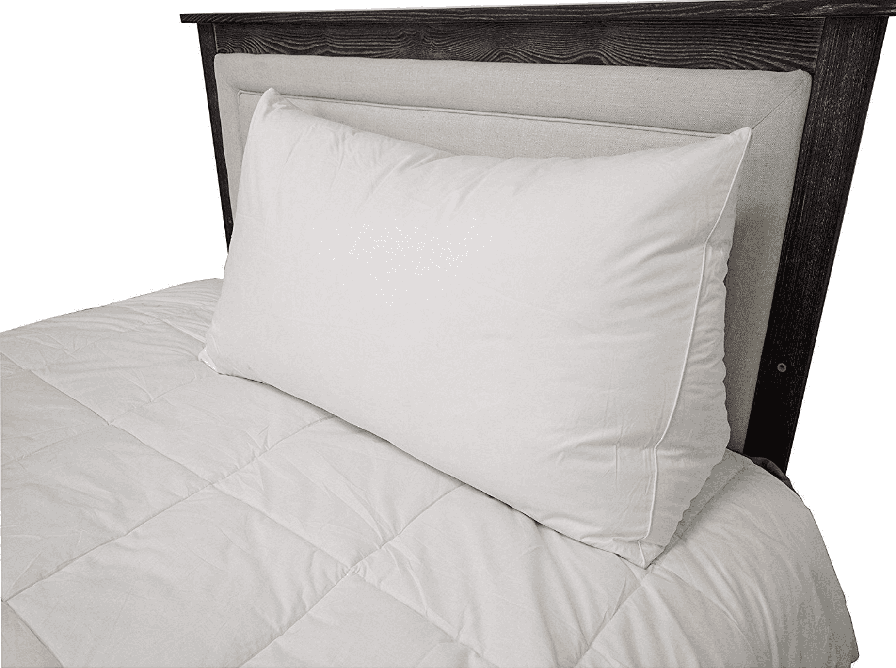 Pillowtex Feather and Down Reading Wedge Bed Pillow (18"x12"x36")