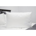 thumbnail image 1 of Pillowtex Firm Premium Polyester Pillow King, 1 of 7