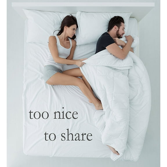 Pillowtex High End Down Comforter (Full/Queen)