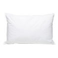 thumbnail image 1 of Pillowtex High End White Goose Down Soft Pillow King Set, 1 of 6
