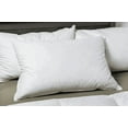 thumbnail image 1 of Pillowtex Luxury Core Down and Feather Queen Sized Pillows (4 Pack), 1 of 5