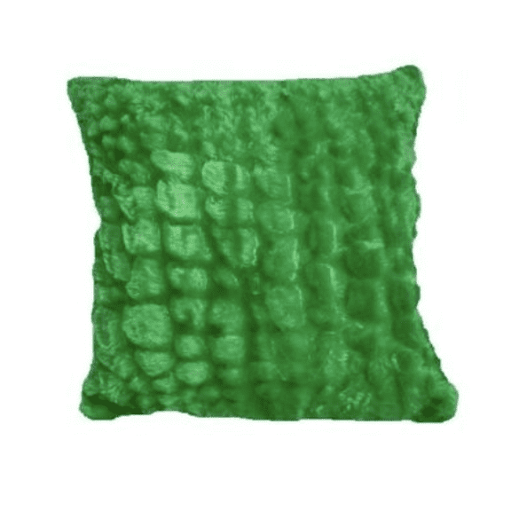 Pillowtex Plush 18 Inches x 18 Inches Throw Pillow (Green)