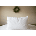 thumbnail image 1 of Pillowtex Premium Polyester Fill Pillow Queen Size Set of 2, 1 of 6