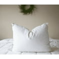 thumbnail image 1 of Pillowtex® Triple Core White Duck Down and Feather Queen Size Pillows (2 Pillow Set), 1 of 6