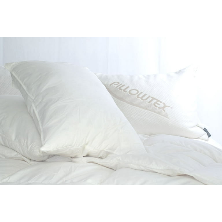 Pillowtex pillows cheap