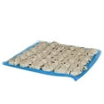 thumbnail image 1 of Pillsbury Big Deluxe Oatmeal Raisin Cookie, 1.2 Ounce -- 288 per case, 1 of 9