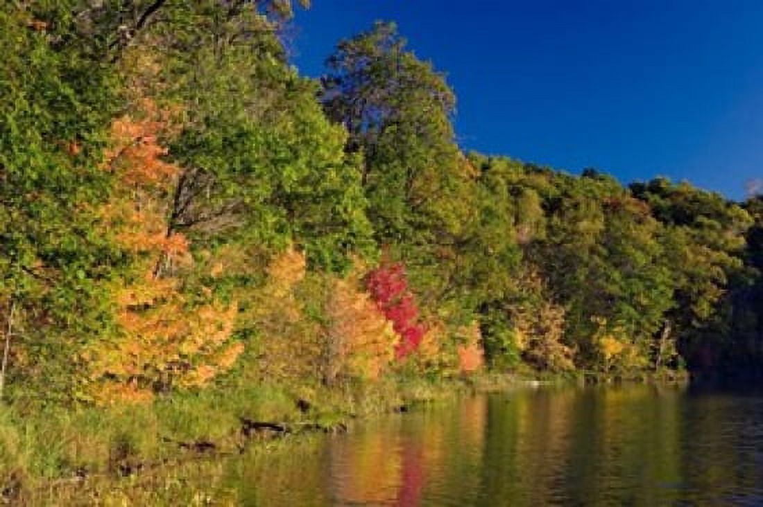 Pillsbury State Forest Minnesota Canvas Art - Panoramic Images (19 x 12)