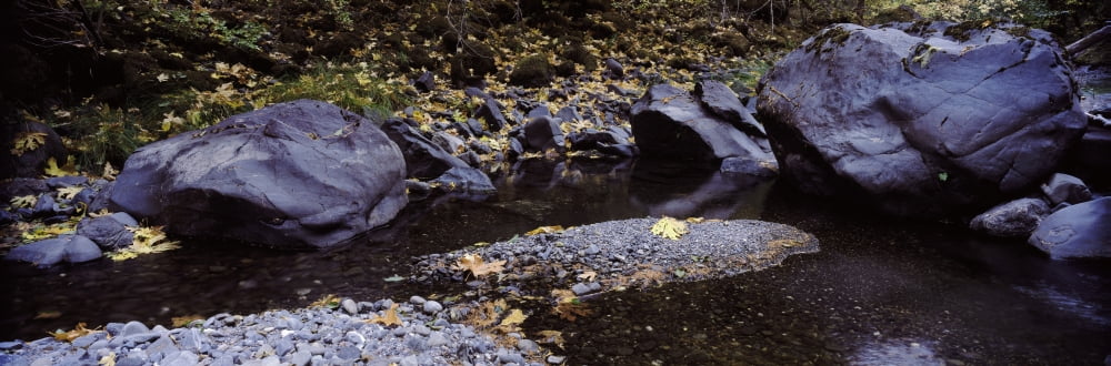 Pilot Creek in autumn Humboldt County California USA Canvas Art - Panoramic Images (27 x 9)