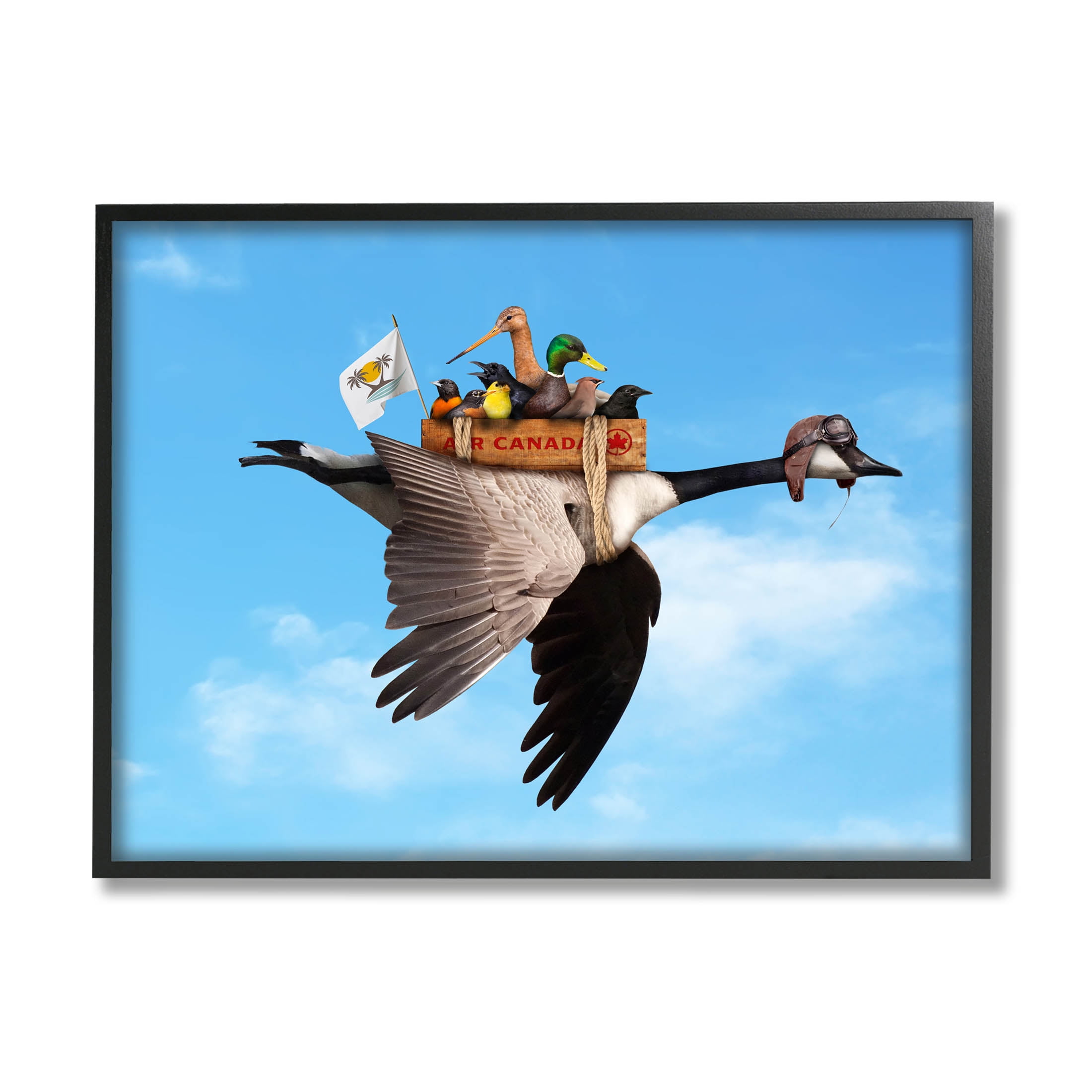 Pilot Goose Flying Ducks Sky Animals & Insects Graphic Art Black Framed Art Print Wall Art
