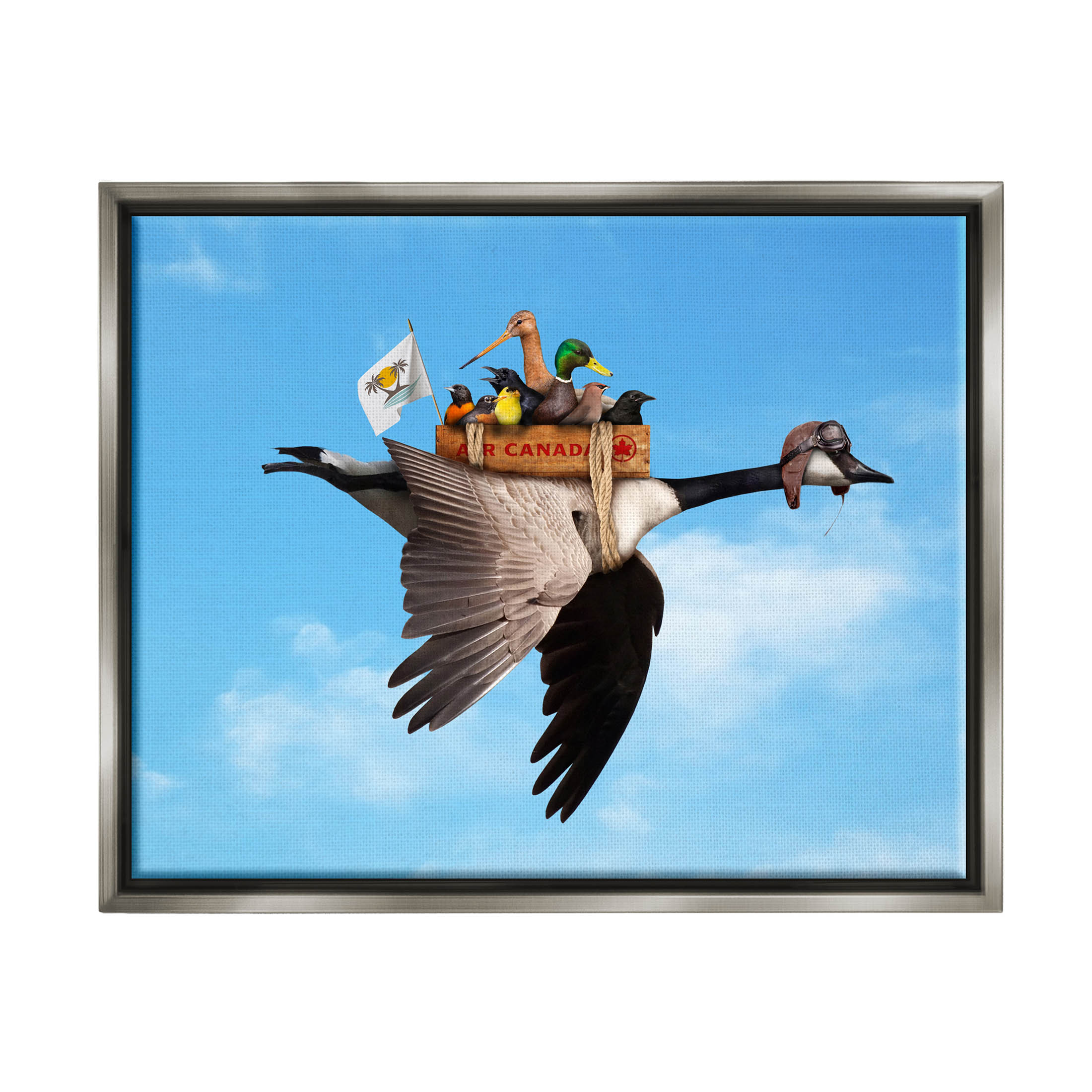 Pilot Goose Flying Ducks Sky Animals & Insects Graphic Art Luster Gray Framed Art Print Wall Art