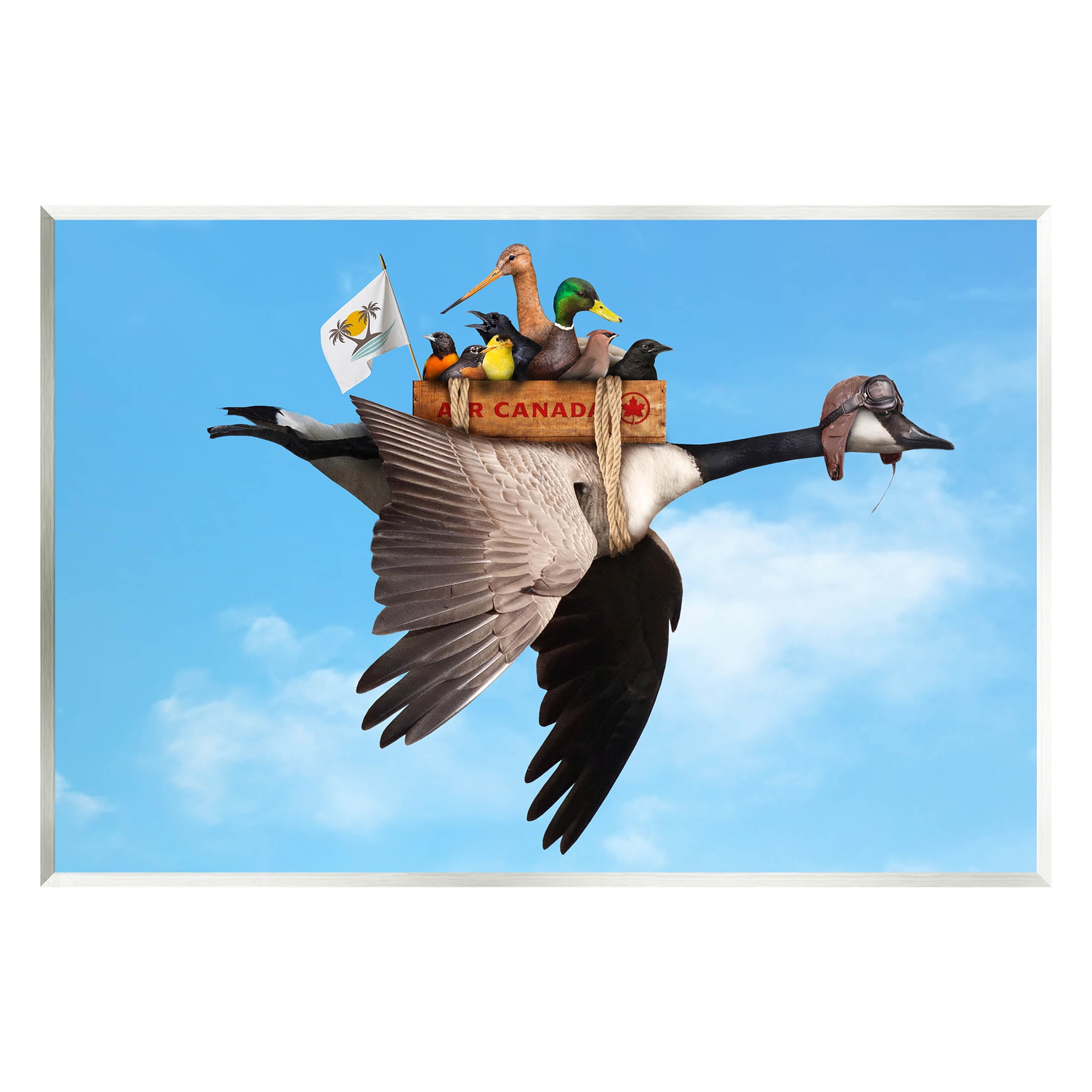 Pilot Goose Flying Ducks Sky Animals & Insects Graphic Art Unframed Art Print Wall Art