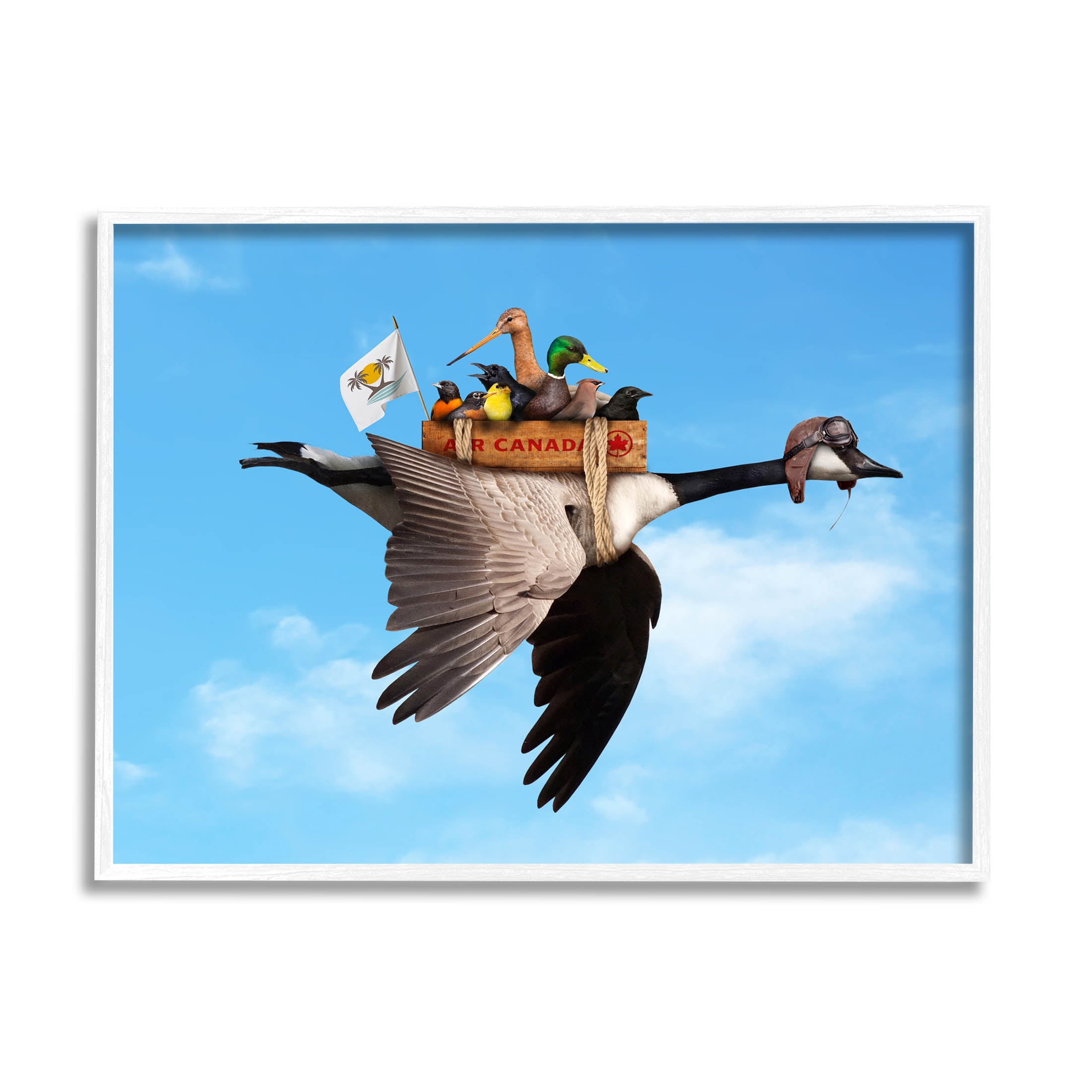 Pilot Goose Flying Ducks Sky Animals & Insects Graphic Art White Framed Art Print Wall Art