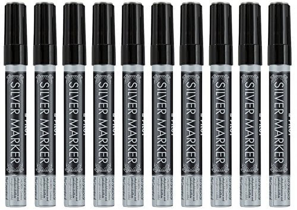  PILOT Metallic Permanent Paint Markers, Silver, Medium Point,  12-Pack (41800) : Permanent Markers : Office Products