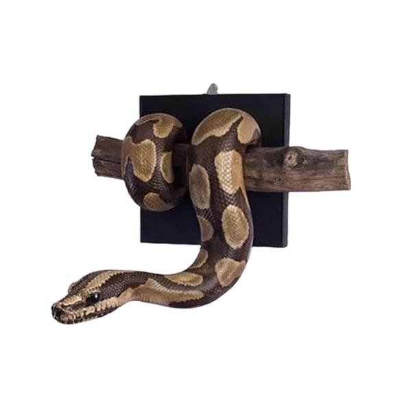 Pimea 5x4" Brown Snake Wall Sculpture, Realistic Reptile Wall Art Decor, Eclectic Animal Wall Hanging for Living Room, Entryway, Bar