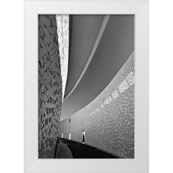 Pimenta, Jorge 23x32 White Modern Wood Framed Museum Art Print Titled - The Journey