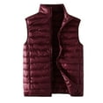 thumbnail image 1 of Pimfylm Mens Puffer Vest Casual Sleeveless Warm Men's Vest Trendy Solid Color Zipper Lightweight Top, 1 of 3