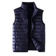 thumbnail image 1 of Pimfylm Mens Puffer Vest Casual Sleeveless Warm Men's Vest Trendy Solid Color Zipper Lightweight Top, 1 of 3