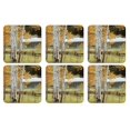 thumbnail image 1 of Pimpernel - Coasters and Gifts Birch Beauty Coasters S/6, 1 of 2