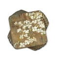 thumbnail image 1 of Pimpernel Dogwood in Spring Coasters Set of 6 - 4 Inches Sq., 1 of 4