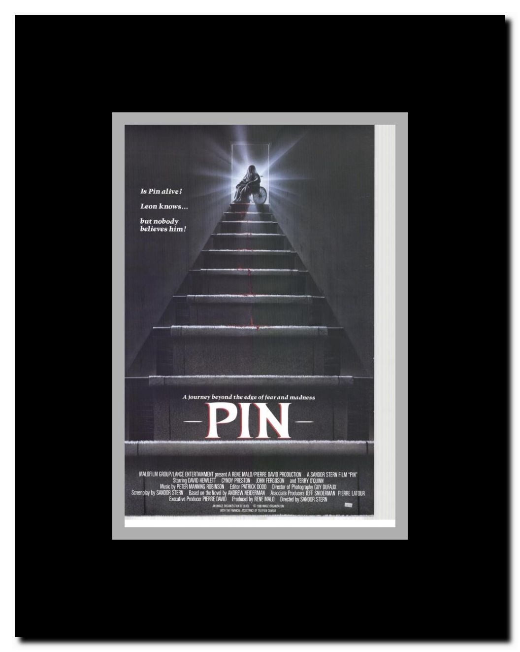 Pin. . . Framed Movie Poster