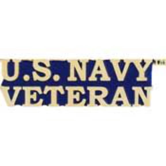 ee, inc. us navy bold faced veteran pin military collectibles for men women