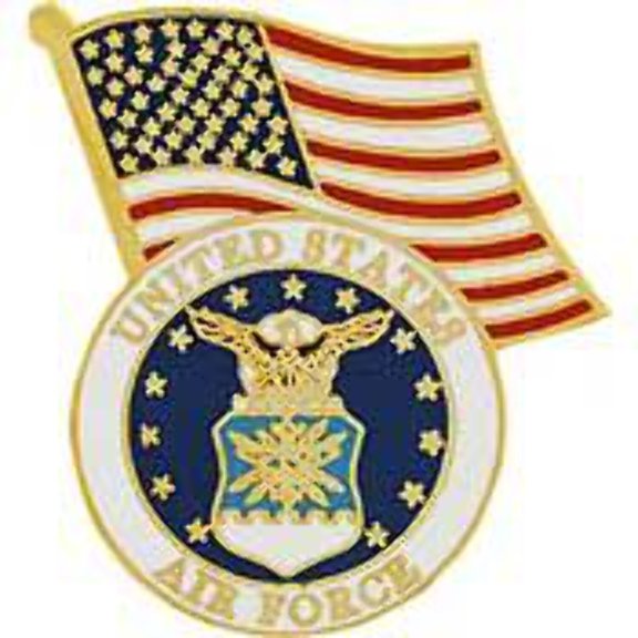 eagleemblems united states air force logo emblem and american flag lapel/hat pin