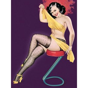Pin Up Art Brunette With Mesh Stockings And Canvas Art - (18 x 24)