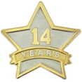 thumbnail image 1 of PinMart - 14 Year Service Award Star Enamel Pin - Employee Appreciation Pin, 1 of 6