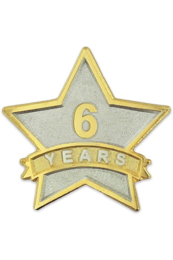 - 6 Year Service Award Star Enamel Pin - Employee Appreciation Pin