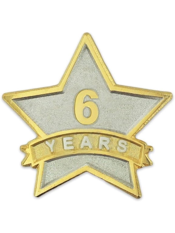 - 6 Year Service Award Star Enamel Pin - Employee Appreciation Pin