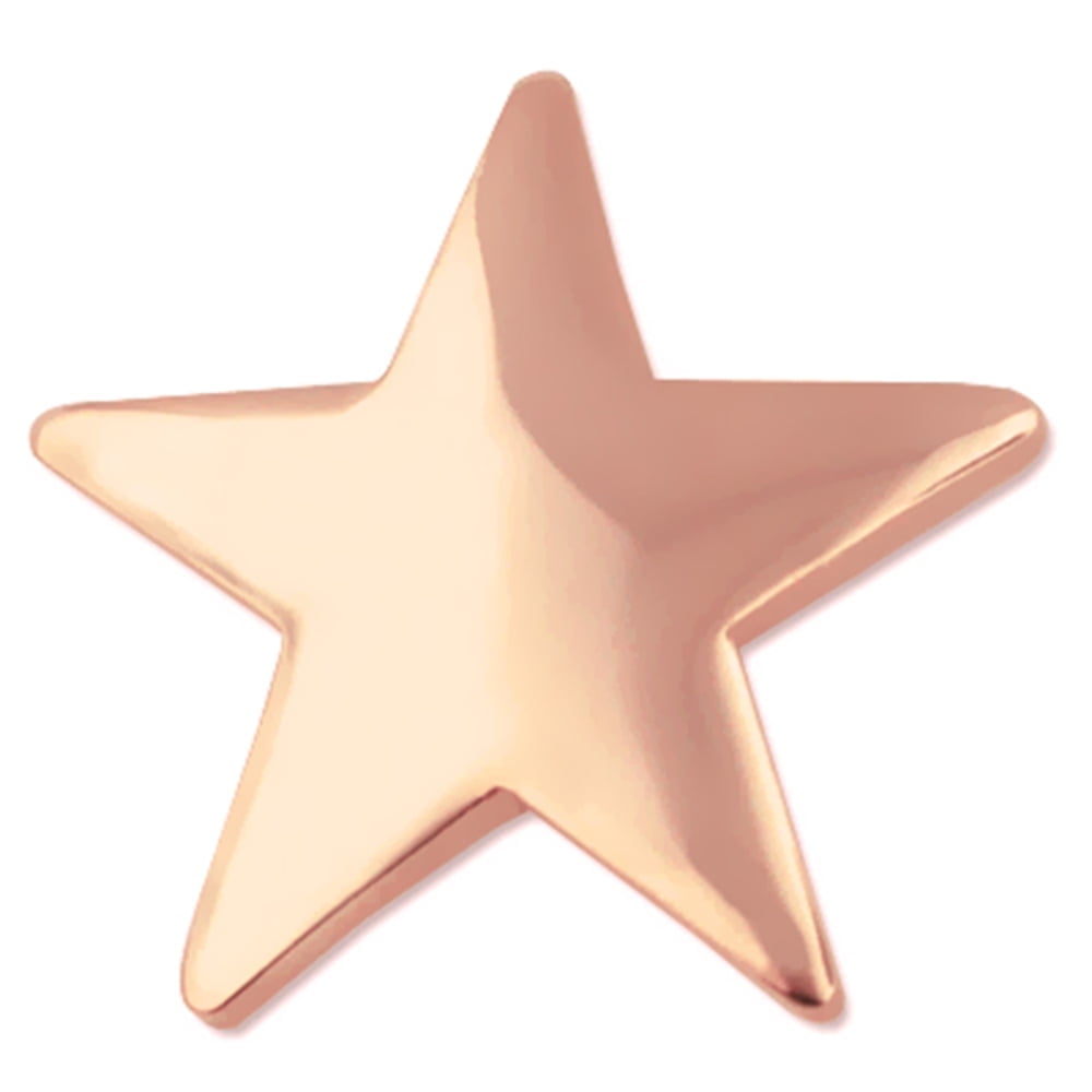 PinMart Classic Shiny Copper Star Lapel Button Pins, Adult, New, 100 ...