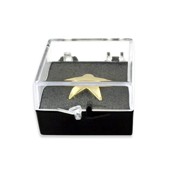 PinMart Made in USA Clear Plastic Gift Box for Pins - 10 Pack - Protective Foam Display Case