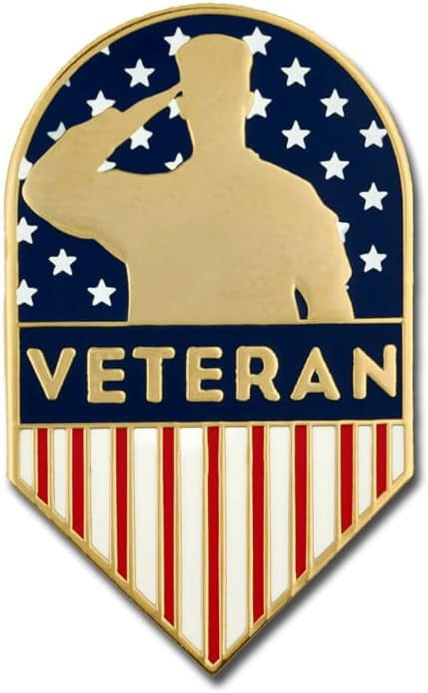 PinMart's Folded American Flag Memorial Veteran Lapel Pin on Instruction  Card