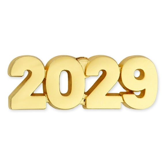 PinMart's 2029 Year Lapel Pin - 100 Pack